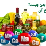 مواد معدنی بدن چیست؟ و انواع آن
